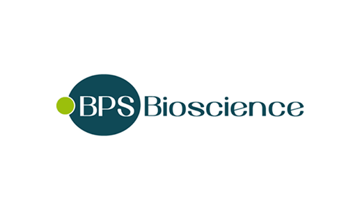 Neutrophil Elastase Inhibitor Screening Assay Kit