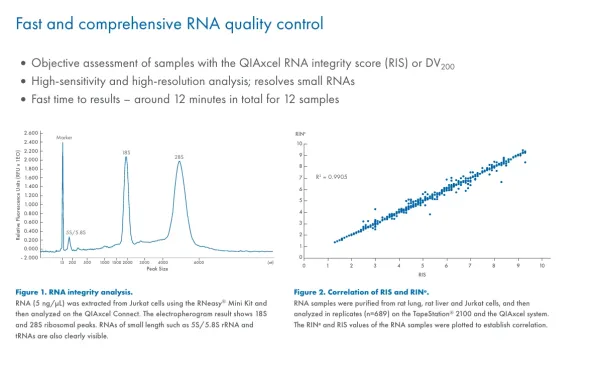 QIAxcel Connect의 RNA electropherogram과 RNA integrity score 상관관계 예시